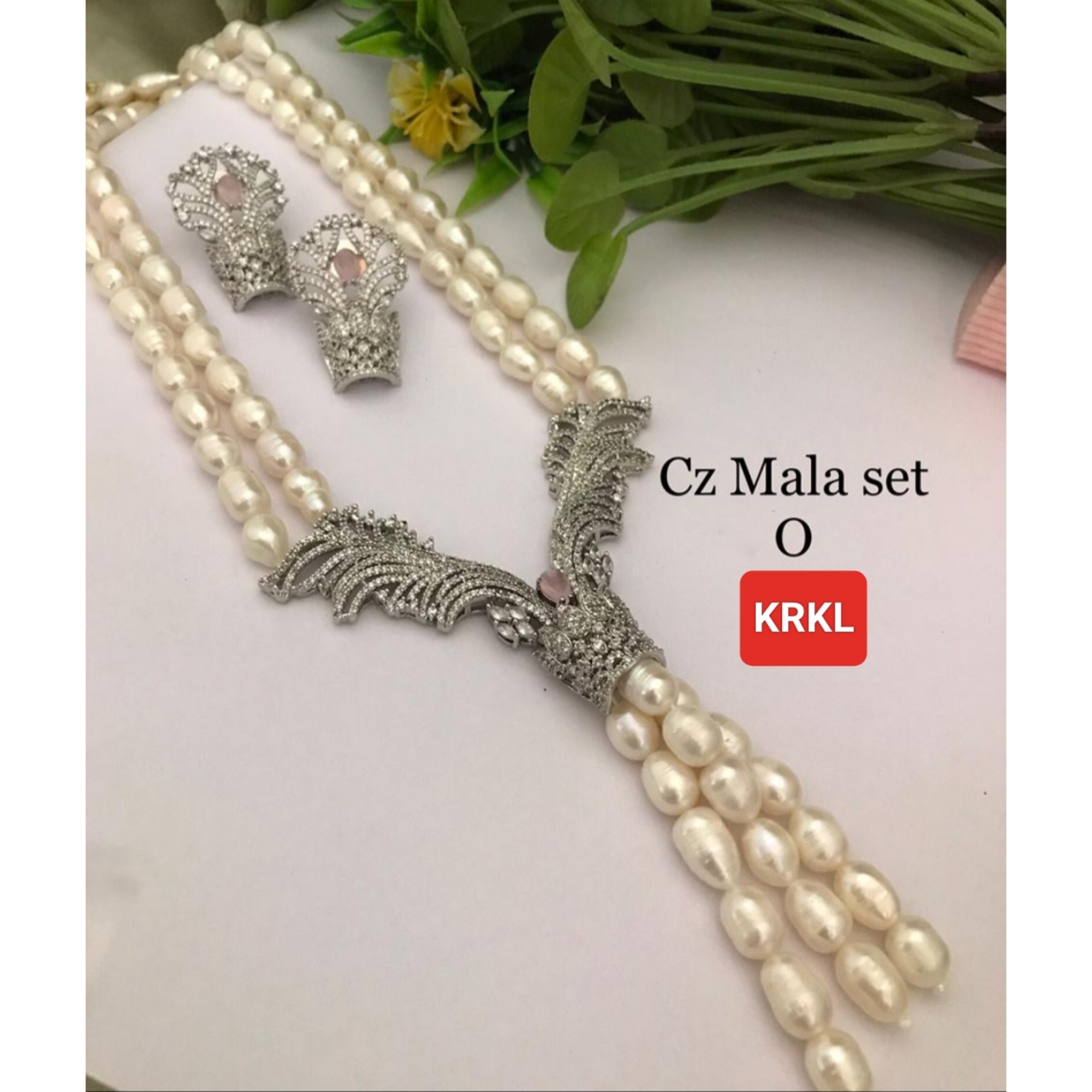 Polish_20230626_130909445